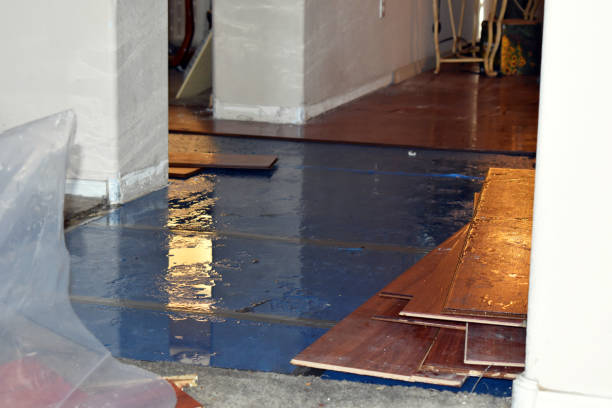 Professional Emergency Water Damage Restoration technician working in Negley, OH